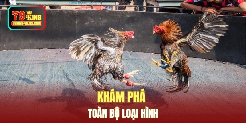 Khám phá toàn bộ loại hình